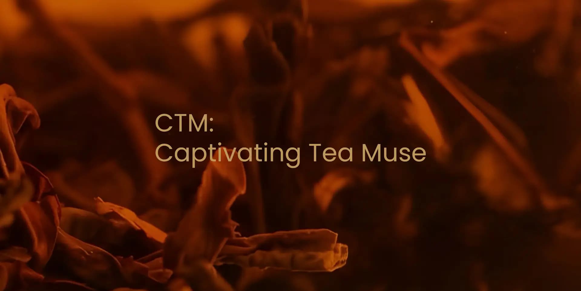 CTM showcase — image 1