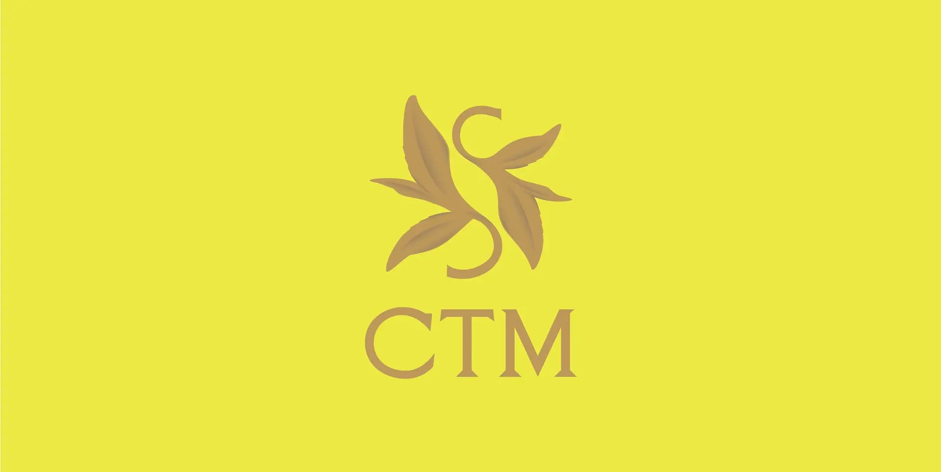 CTM cover image