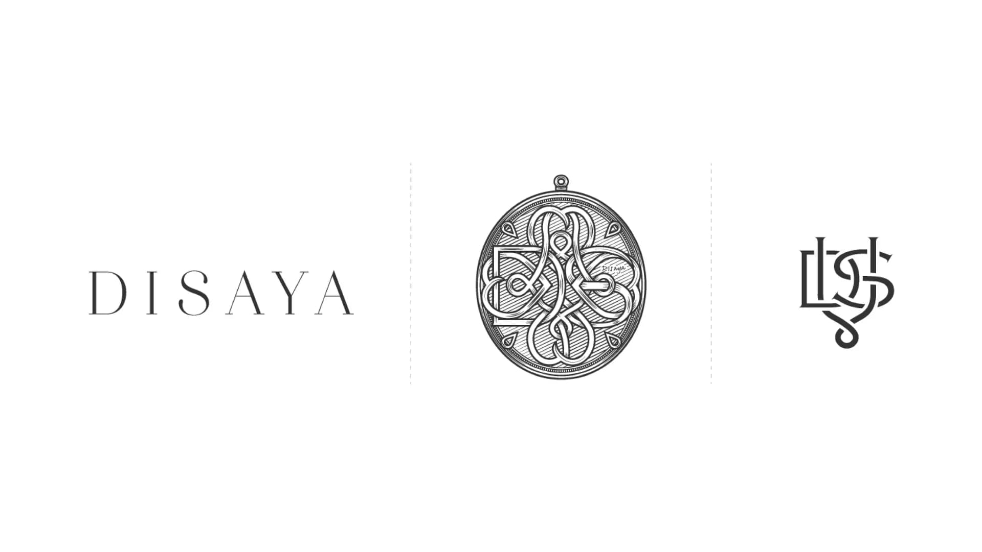 DISAYA – Brand Identity — 6