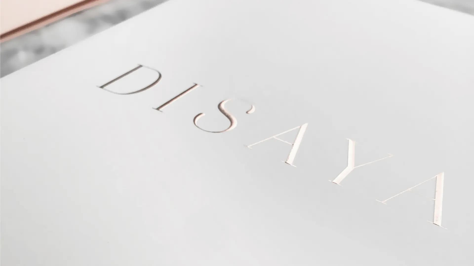 DISAYA – Brand Identity — 12
