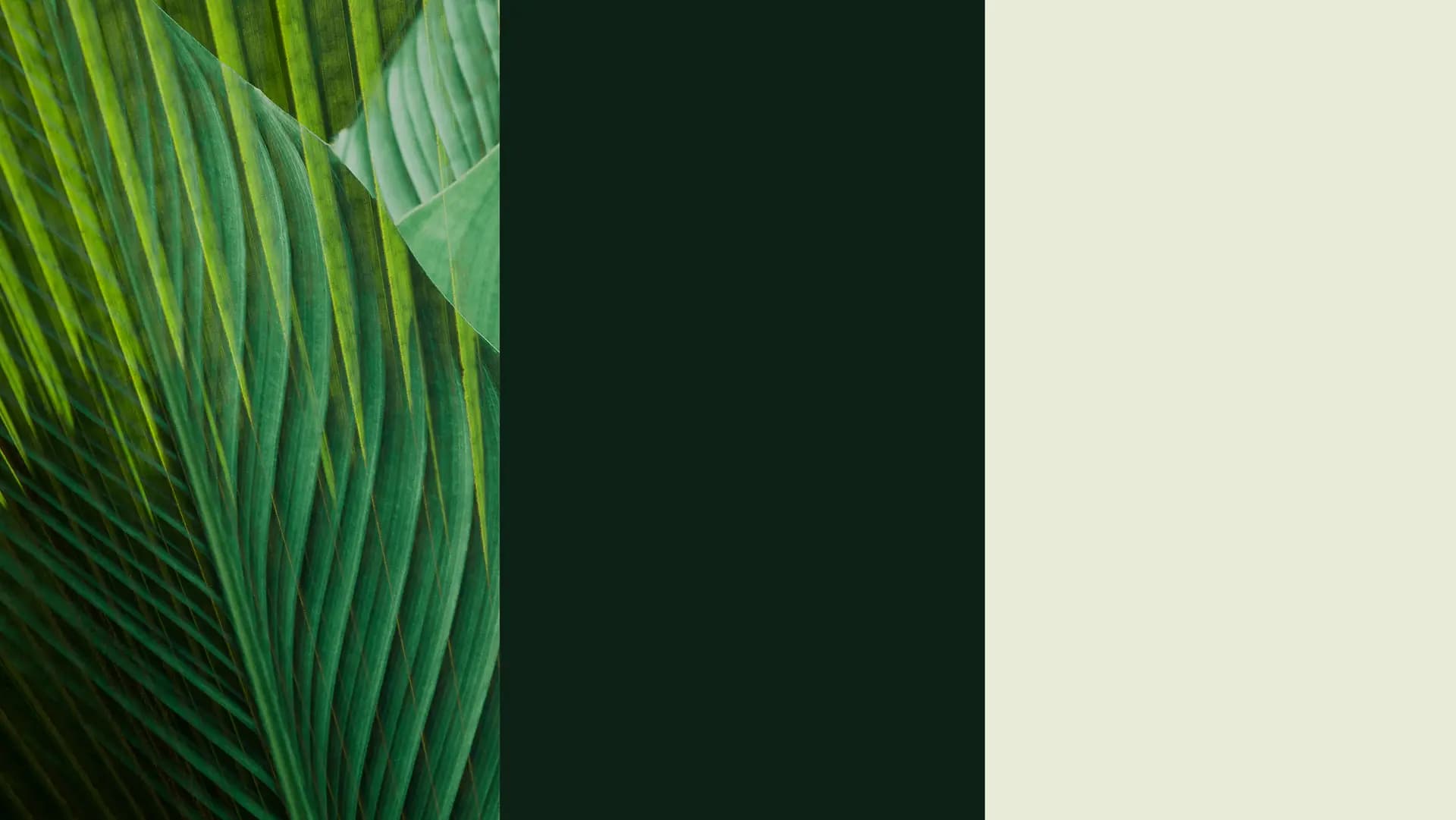 PATTA DEFINE – Brand Identity + Collateral — 2