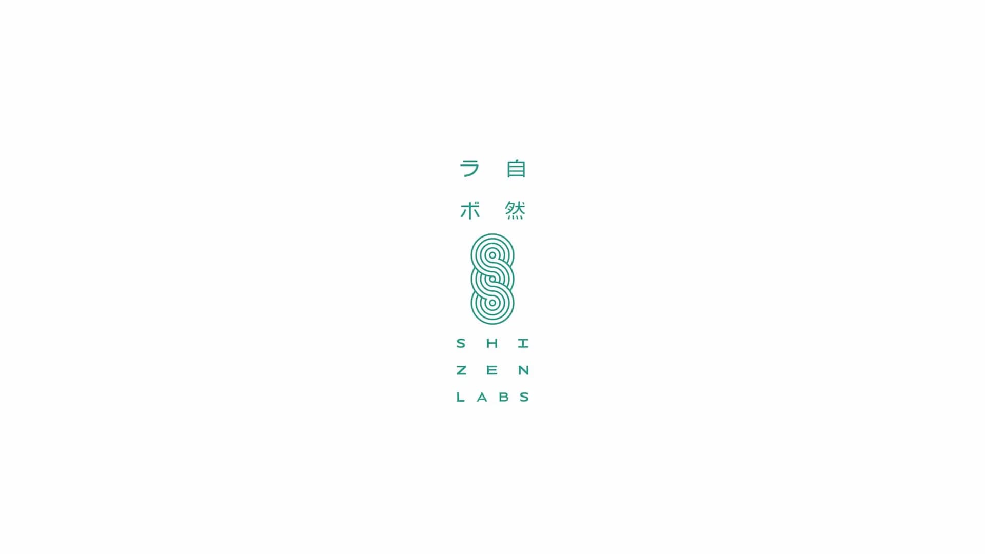 SHIZENLABS — Brand Identity & Packaging — 2