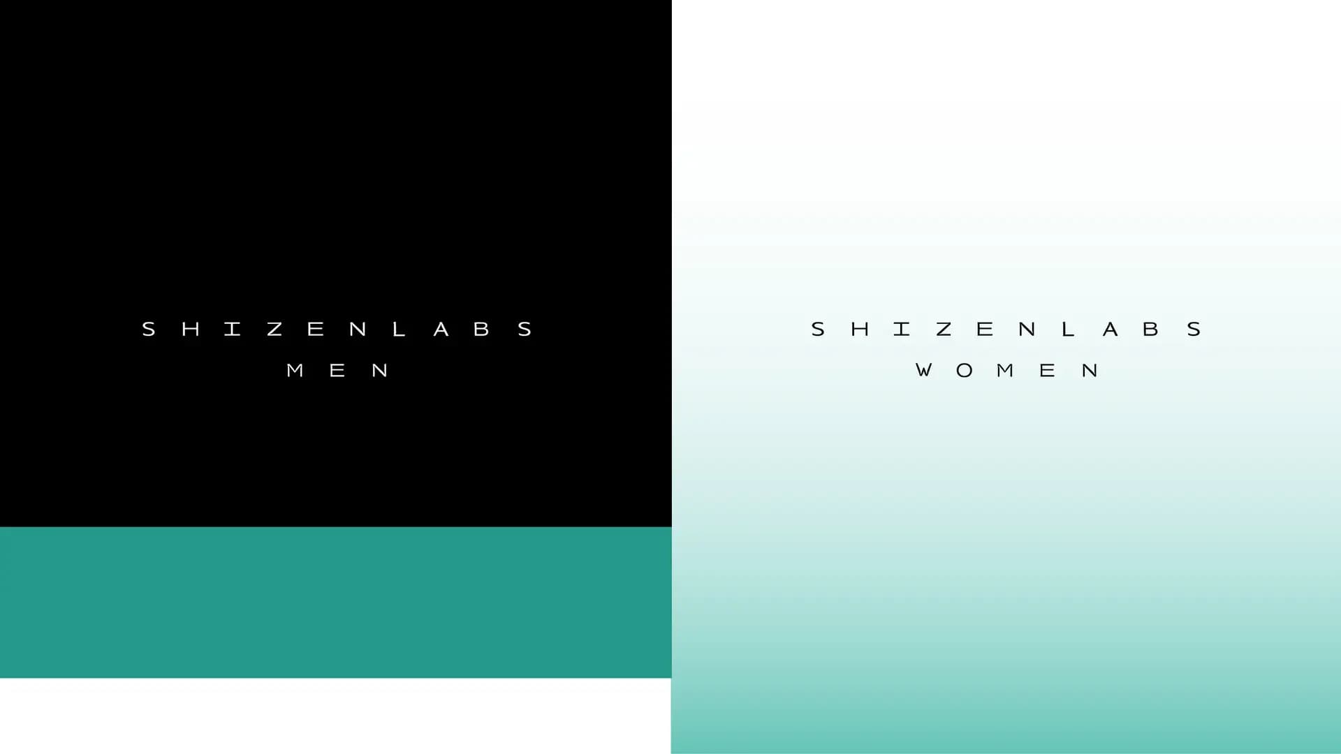 SHIZENLABS — Brand Identity & Packaging — 4