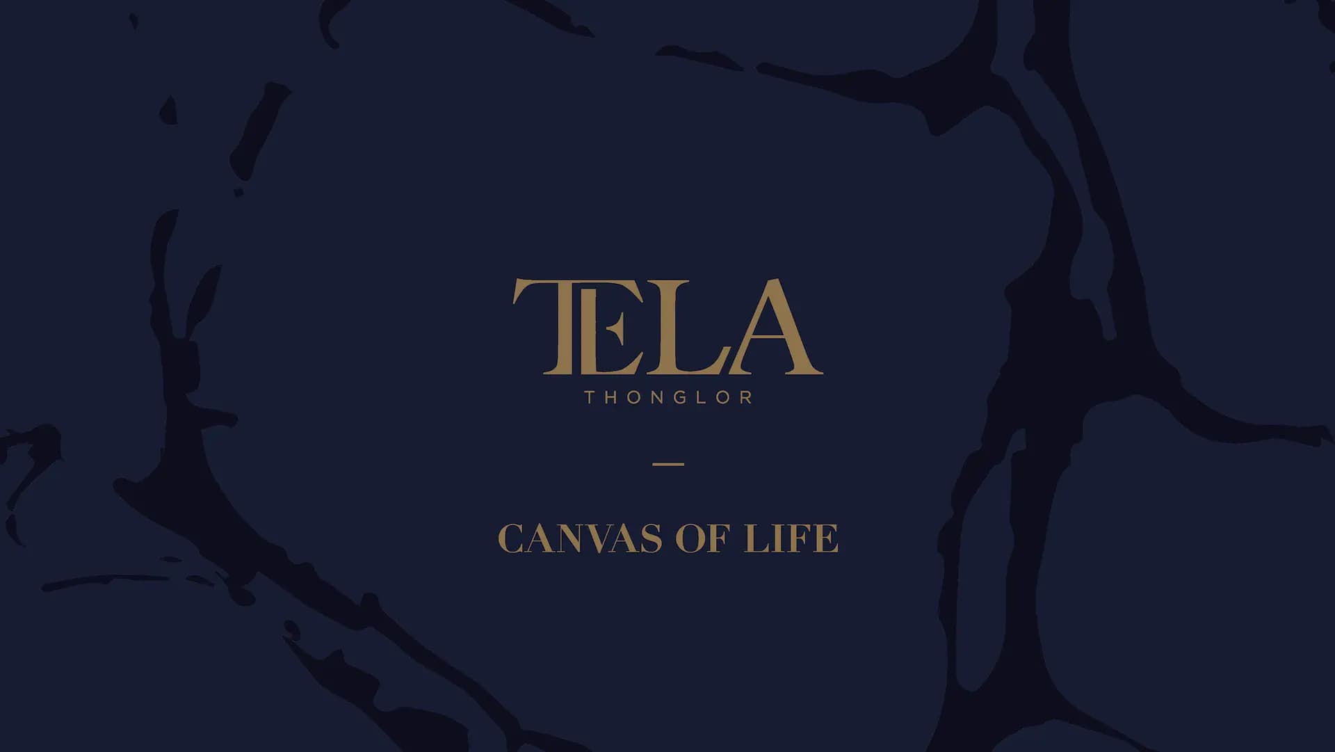 TELA Thonglor x Roberto Cavalli x DMHOME – Canvas of Life Campaign — 1