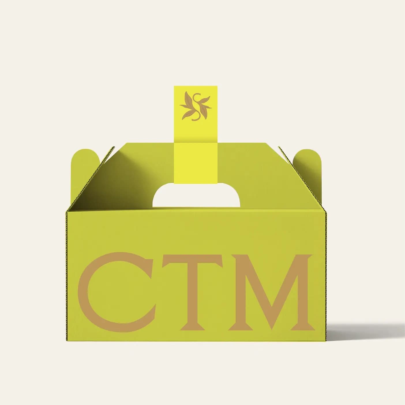CTM showcase — image 4