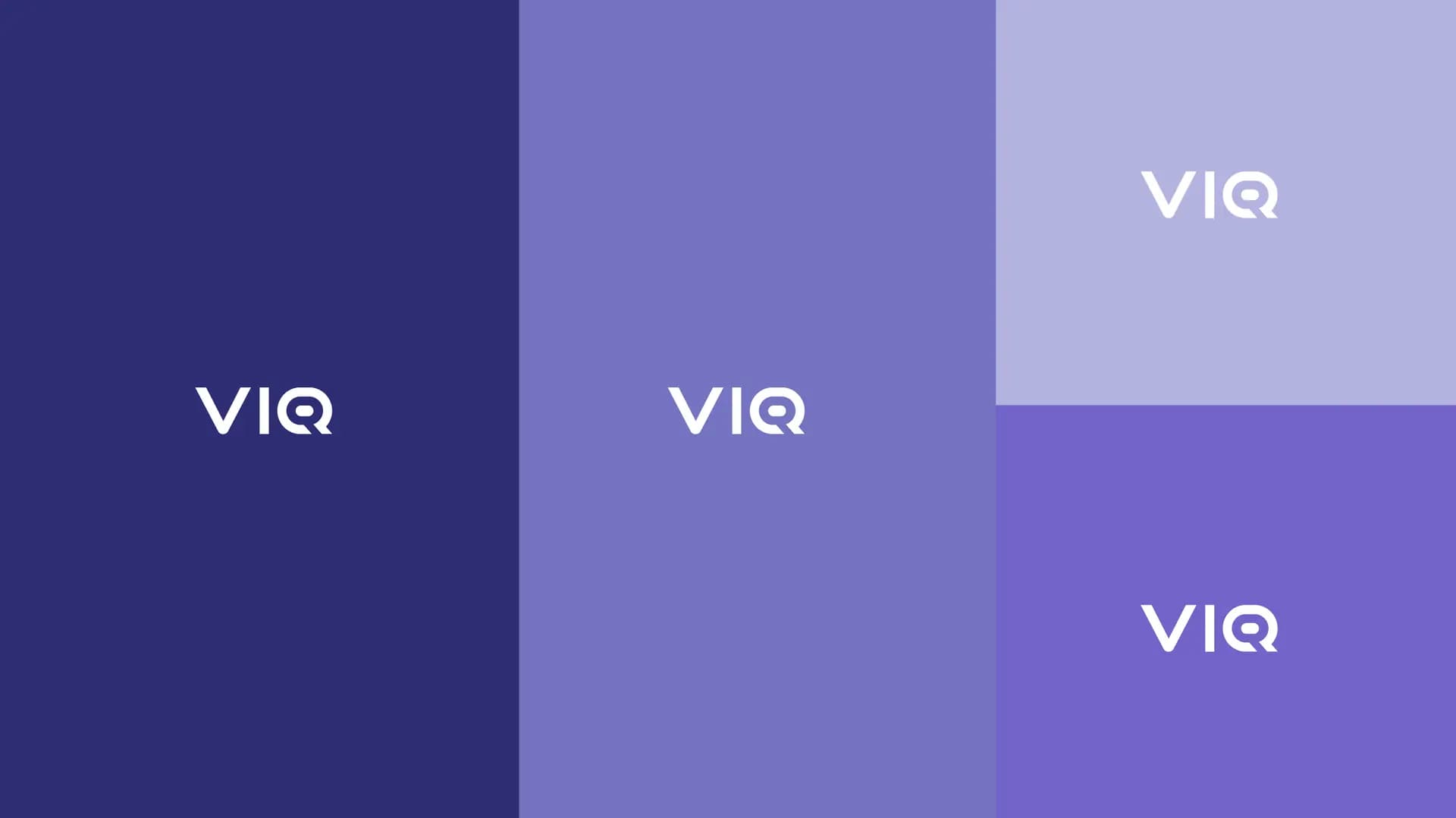 VIQ – Brand Identity — 3