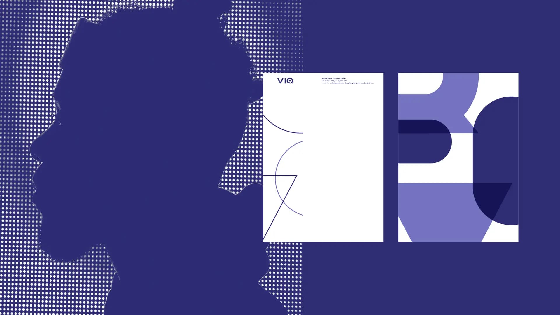 VIQ – Brand Identity — 6