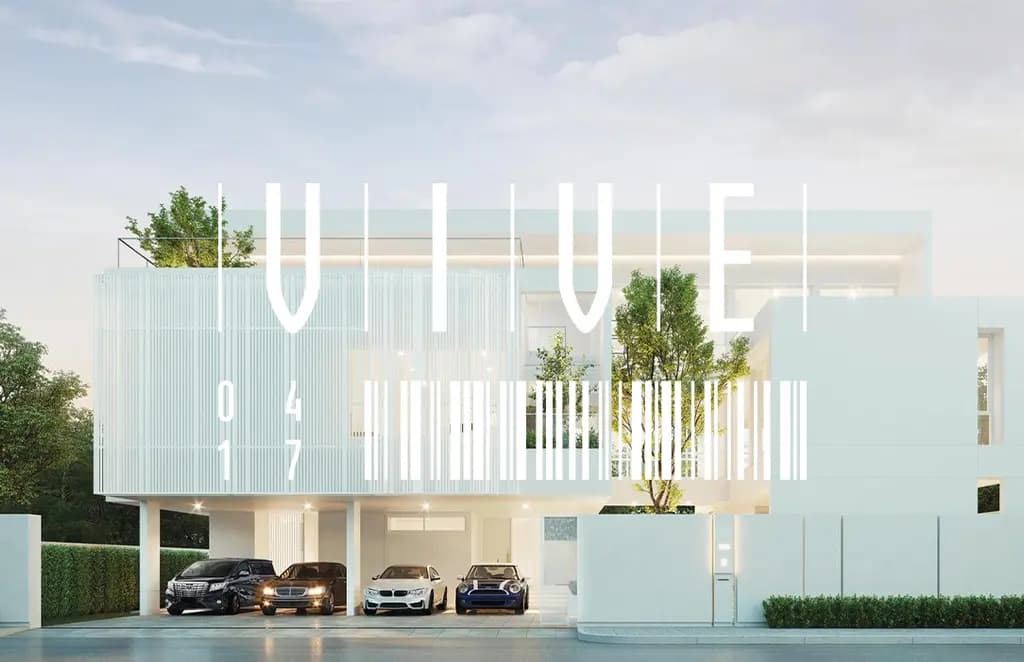 VIVE – Brand Identity & Collateral